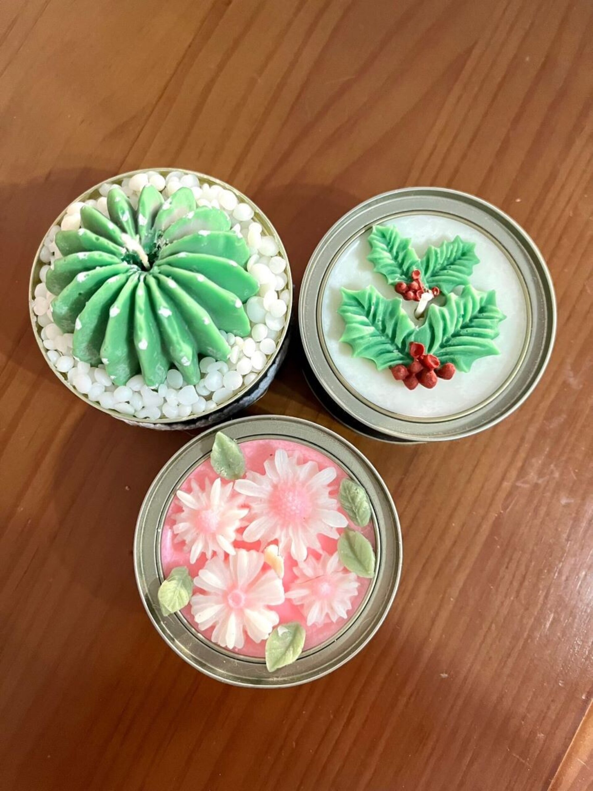 Cactus - 2