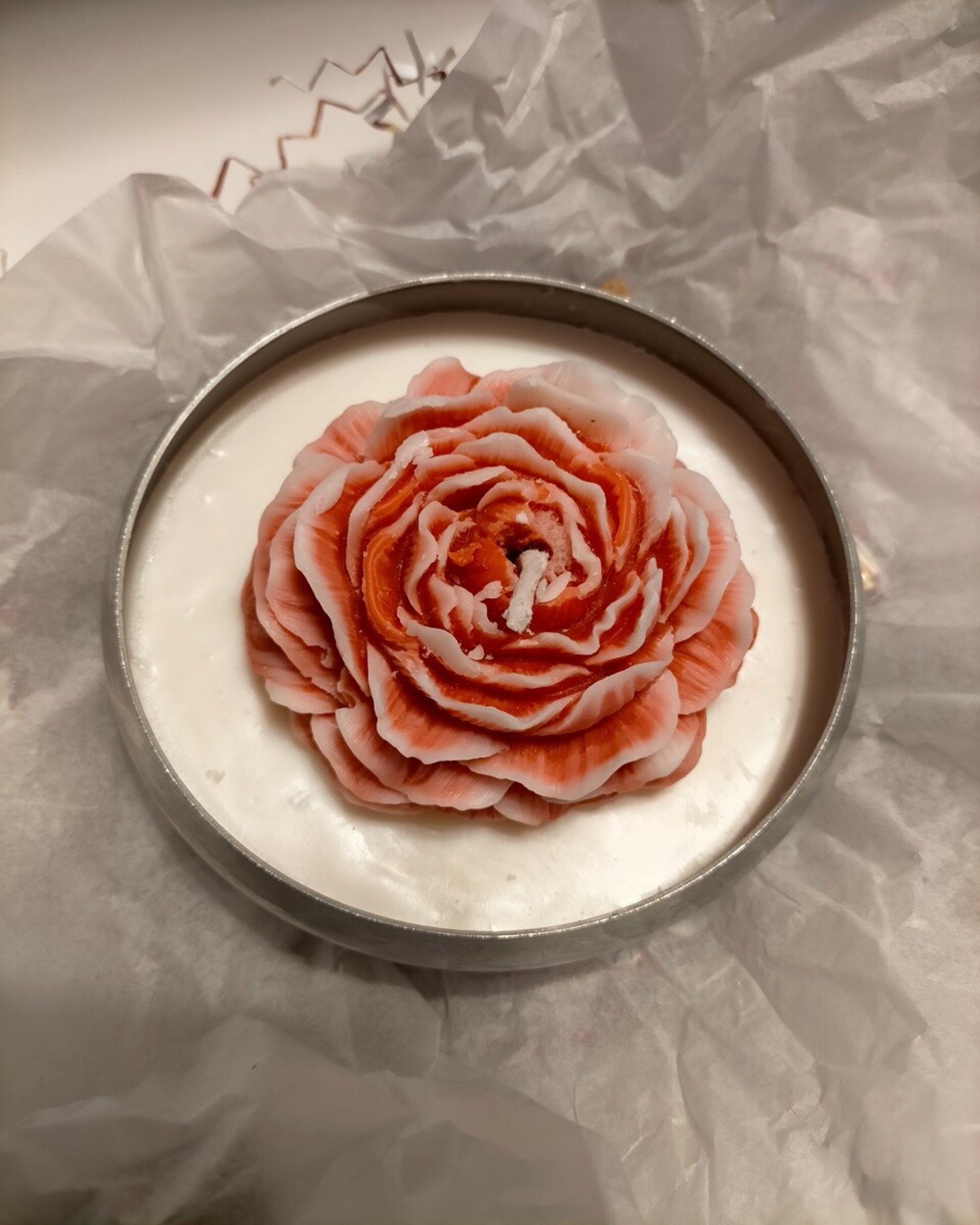Rosa de San Valentin - 2